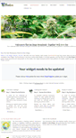Mobile Screenshot of emarijuanaclones.com